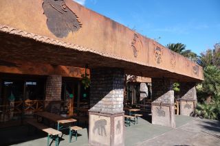 GC-Crocodilo Park 2020-061.JPG